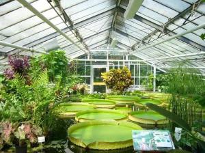 China 4mm tempered greenhouse glass wholesale