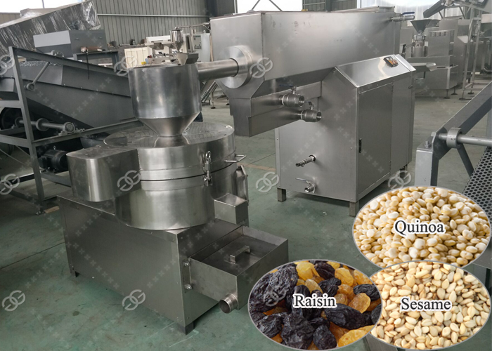 Automatic Sesame Seed Washing Machine for Sale