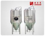 Stainless Steel Cylindro Conical Fermenter