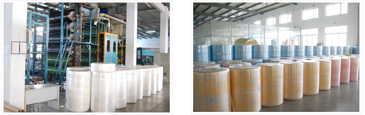Rayon and PET Spunlace Nonwoven Fabric