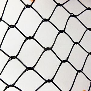 China stainless steel black oxide wire rope netting x tend mesh AISI 304 wholesale