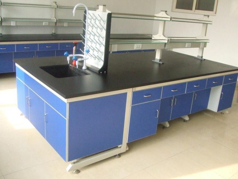 Acid Resistance Lab Tables Work Benches For Pharmaceuticals Company