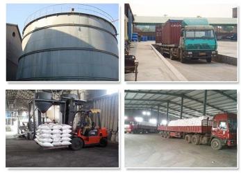 Twin International Co., Limited