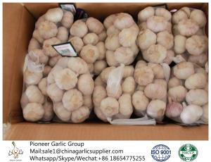 China 2018 China fresh garlic export to Brazil wholesale