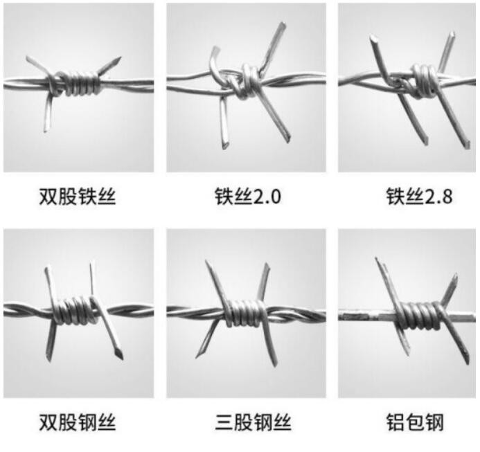 Standard Galvanized Reverse Twist Security Barbed Wire Factory Direct