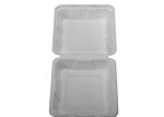 8×8 Inches Meal Clamshell Biodegradable Takeout Containers