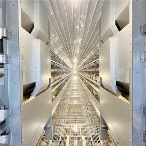 China Customized Available Battery Layer Chicken Cage Chicken Poultry Farms wholesale