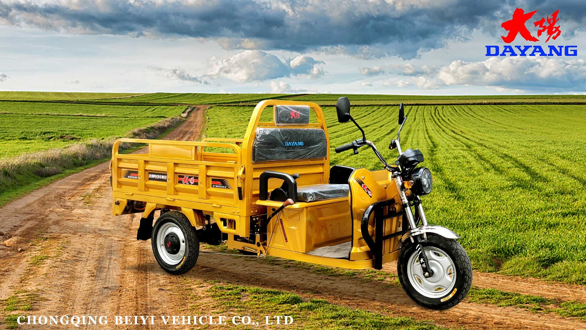 Cargo Tricycle 1000w 12000w 1500w Electric Adult Motorcycle Blue 3 Wheels CCC OEM