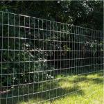 Manufacturers Direct Selling Galvanized Stainless Steel Rust Welded Wire Mesh