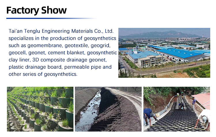 Upgrade Your Road's Durability with 4 Inch 100 356 HDPE Black Green Honeycomb Geocell