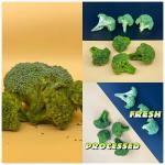 Crunchy Green Goodness Savory Vacuum Fried Broccoli Snacks Delights