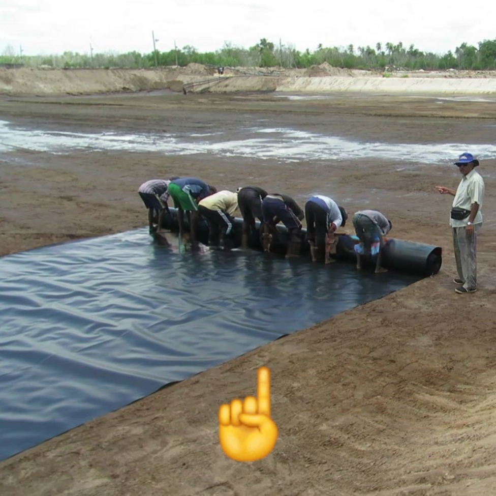 High Density 0.940g/cm3 HDPE Geomembrane for Fish Pond and Landfill Waterproofing
