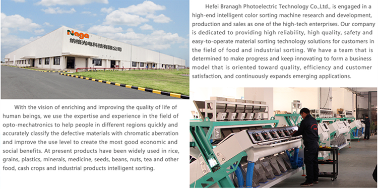 AC220/50 Intelligent Grain Color Sorter For Food & Beverage Factory