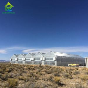 China Multispan 28m-50m Length Light Deprivation Greenhouse With Blackout System wholesale