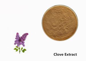 China Brown Clove Flower Plant Extract Powder For Food Additive wholesale