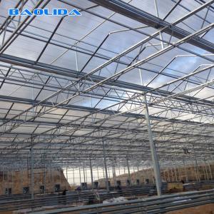 China Multi Span Venlo Type Greenhouse / PC Polyethylene Film Greenhouse Sides Ventilation wholesale
