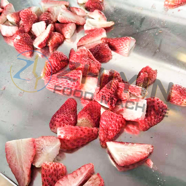 Food freeze drying equipment fruit and vegetable slices freeze drying machine experimental freeze dryer