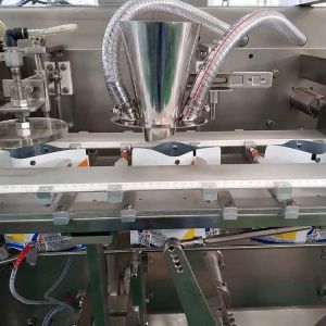 Automatic High Speed Horizontal Premade Bag Packing Machine