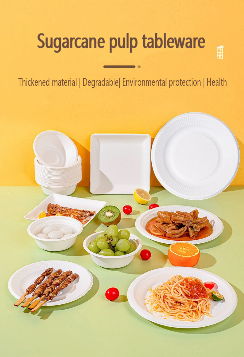Eco-friendly Pulp Burger Box Clamshell Tableware Set Bagasse Takeaway Box Biodegradable Food Packing Container