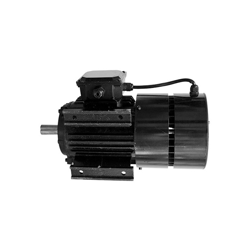 100 To 200Hz Permanent Magnet Synchronous Motor Perpetual Magnetic Motor 380V