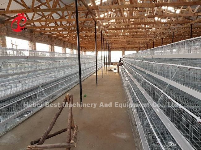 Egg Laying Chicken 96 Birds Broiler Battery Cage System Durable Corrosion Resistance Emily