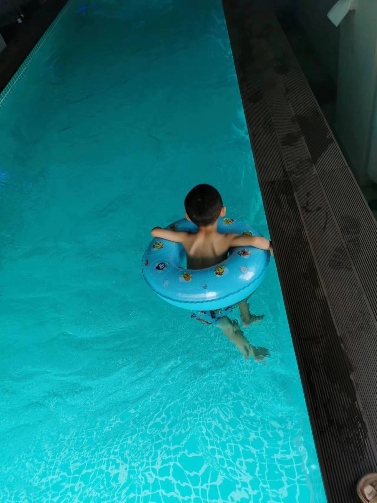 Rise Interior Fiberglass Portable Spa and Swimming Pool with Polymer Material Panels