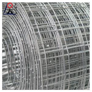 China Galvanized / PVC Coated / Stainless Steel Welded Wire Mesh Fence wholesale
