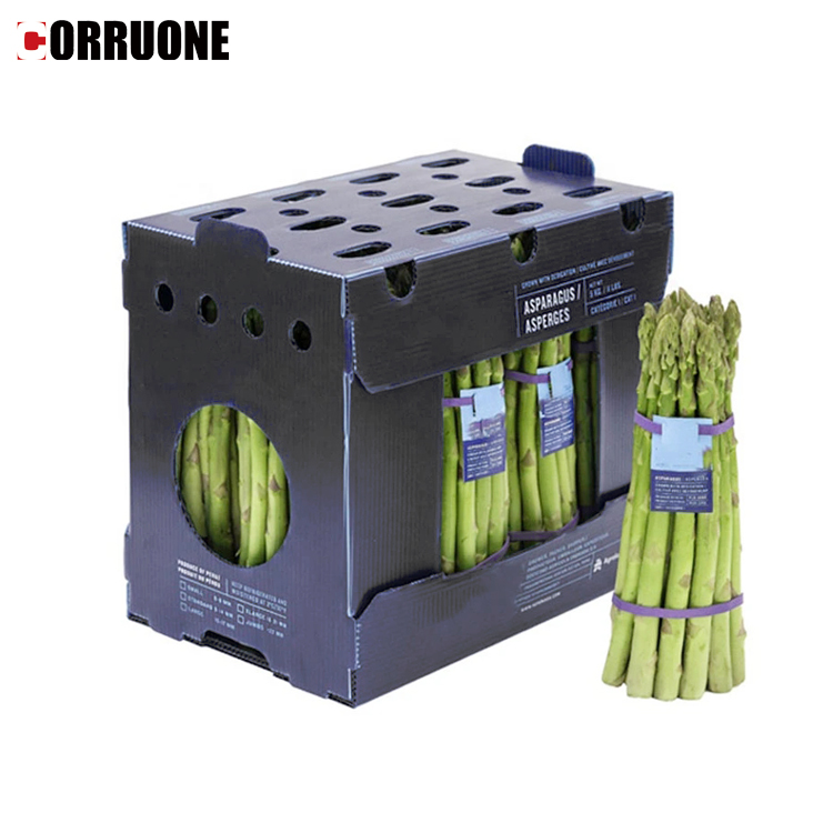 A4 Nuc Asparagus Corrugated Plastic Sheet Box With UV Coating