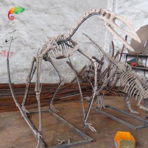 China Museum Exhibition Resin Dinosaur Skeleton Quetzalcoatlus Skeleton Customizable wholesale