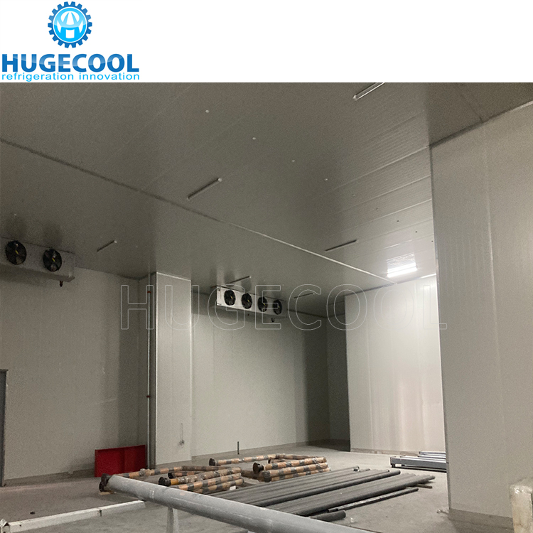 Cost-effective cold storage for storing fruits and vegetables