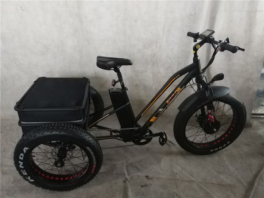 48V Electric Dual Motor 1000 Watt Long Range Fat Tire Cargo E-Bike with Fast Charging