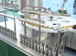 Medical Vertical Vials Ampoules Filling Machine Washing Sterlizing Filling