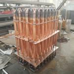 Okra Strawberry Mulberry Freeze Dryer