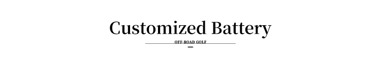 Private Mold Electric Lifted Cart 4 Passenger Chinese Hunting Golf Carts with Rear Disc Brake