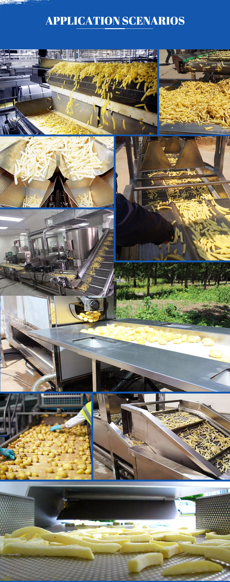 380V 50HZ Automatic Fresh Potato Chips Production Line For Frozen French Fries