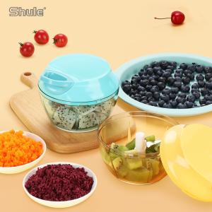 China Multifunctional PP Housing Kitchen Vegetable Chopper 250ML SS420 Eco Friendly wholesale