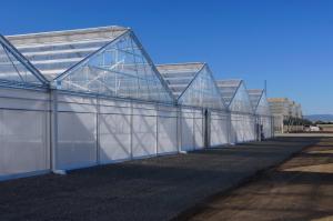 China Tropical Area Vegetable Plastic Film Greenhouse For Hydroponic Growing wholesale