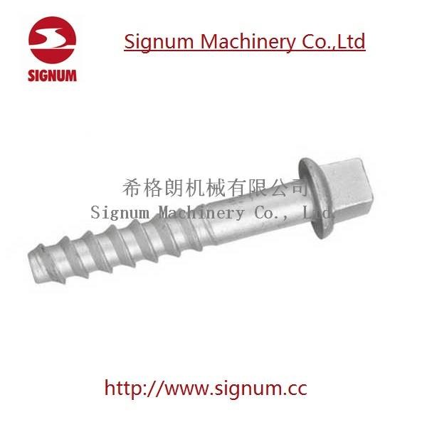 HDG Hot Dip Galvanized Square Head Railway Screw Spikes China Supplier