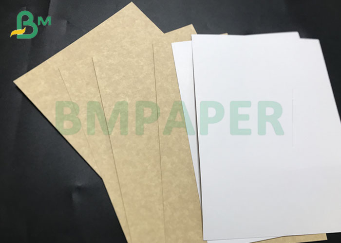 High Bulky Food Grade 250gsm 325gsm White Top Kraft Board 24 * 25" Sheets