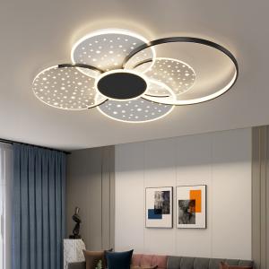 China Modern Minimalist Ceiling Lamps Living Room Designer Hall Nordic Luxury Starry Ceiling Lamps(WH-MA-282) wholesale