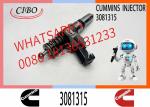 Diesel Fuel Injector 3081315 3073995F 3083846T 3083848F 3411766F 3080931F