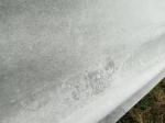 UV Resistant Non Woven Polypropylene Fabric Hydrophilic Against Grass Frostproof