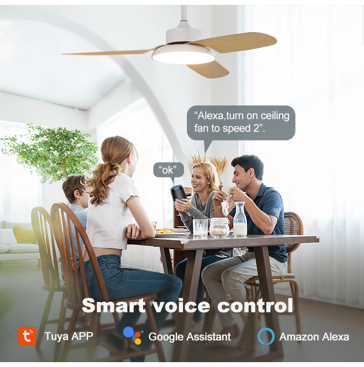2- Hotel Choice ABS Blades Smart WiFi Control Remote Control Ceiling Fan by 1stshine