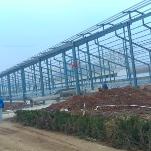 China Custom Steel Structural Fabrication , Prefabricated Metal Building Construction wholesale