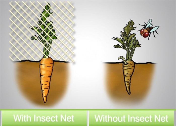 Anti-Insect, Anti -Hail Mesh Netting, Agriculture, Crop Cover Netting, Fruit Tree Cover, Greenhouse Cover Nets