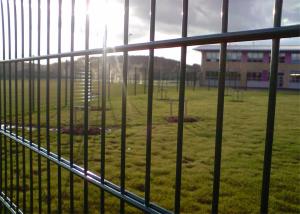 China twin wire mesh fencing wholesale