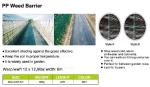 Weed Control Mulch Film, Agriculture Vegetable Black PE Films, 5 Holes