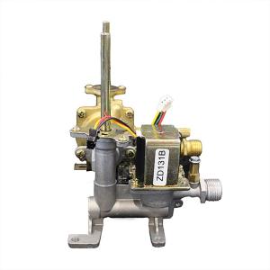 China Commercial NG LPG Gas Water Heater Solenoid Valve For Safe Efficient Hot Water Supply wholesale