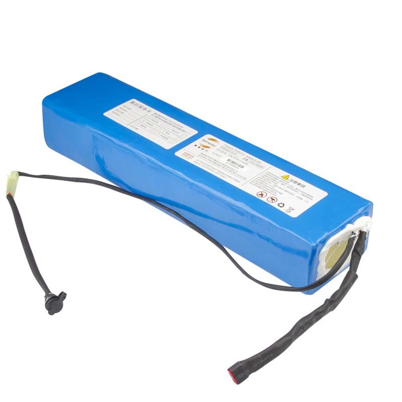 ROSH 48V 20Ah Rechargeable Lithium Battery Packs