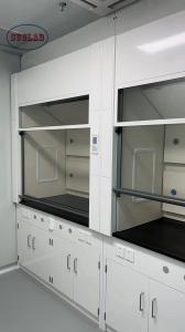 China 220V/50Hz Voltage Laboratory Fume Hood Chemistry Fume Hoods Enhance Laboratory Efficiency and Safety wholesale